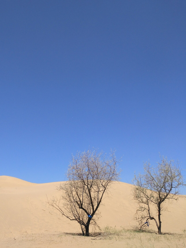 landscape-no-person-nature-sky-winter picture material