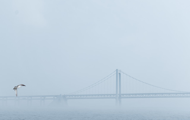 water-fog-winter-sky-no-person 图片素材