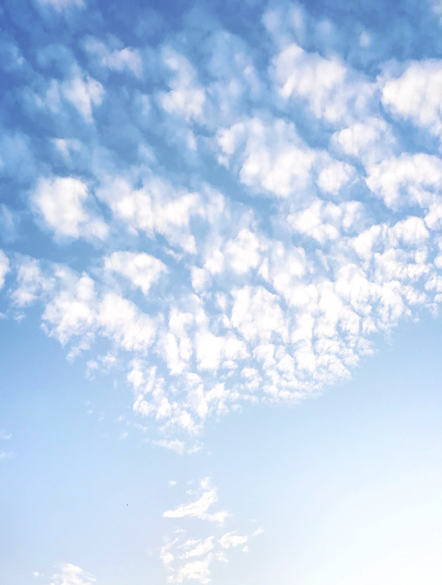 sky-nature-summer-cloud-downy picture material