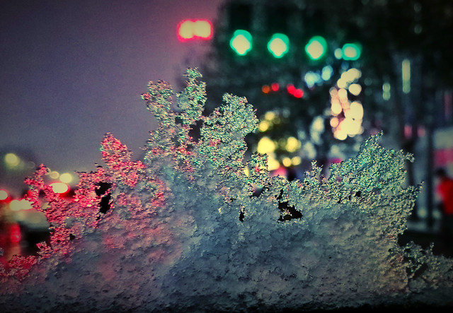 no-person-nature-art-color-winter picture material