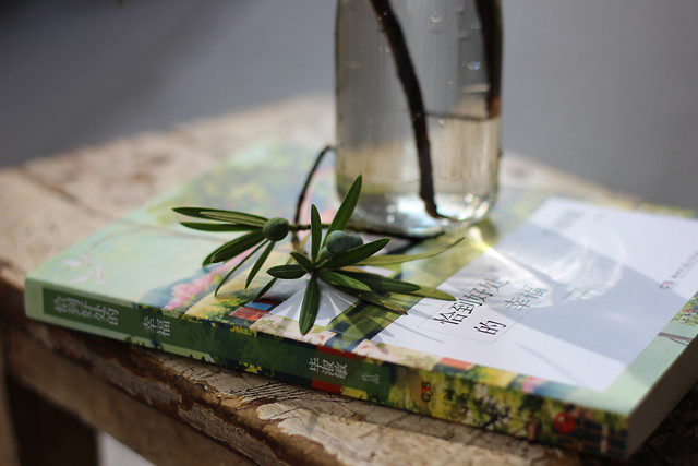 no-person-still-life-blur-food-wood picture material