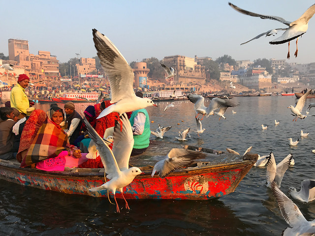 water-travel-watercraft-bird-people 图片素材