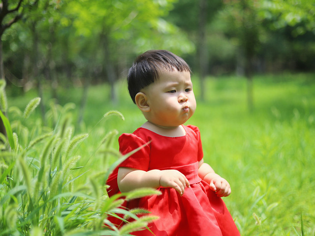 nature-child-grass-summer-red 图片素材