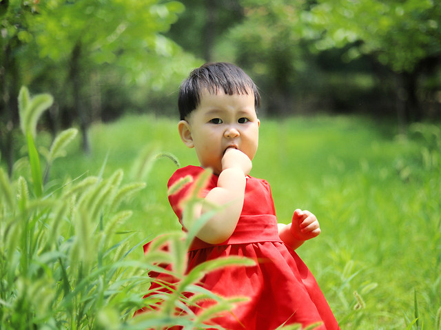 nature-child-grass-summer-red 图片素材
