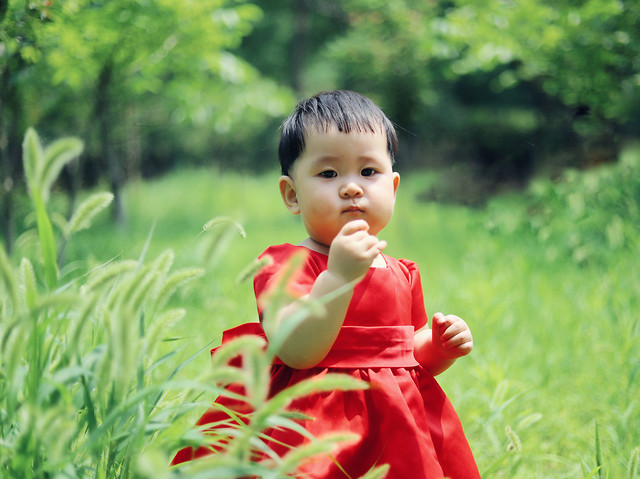 child-nature-grass-summer-little 图片素材
