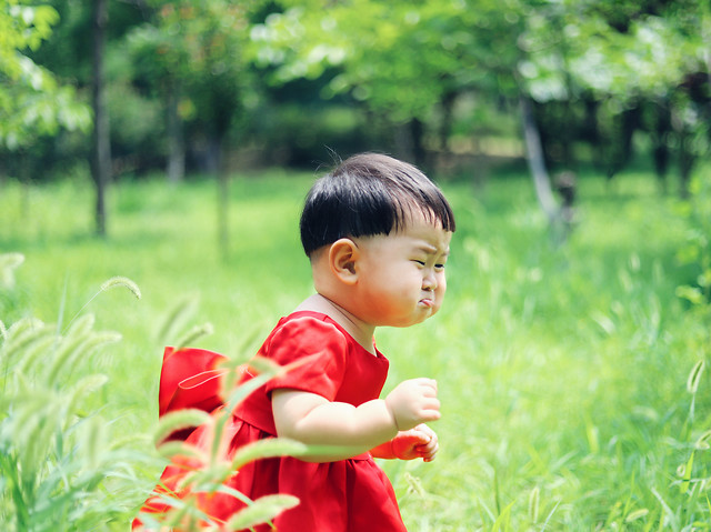 child-nature-grass-summer-little 图片素材