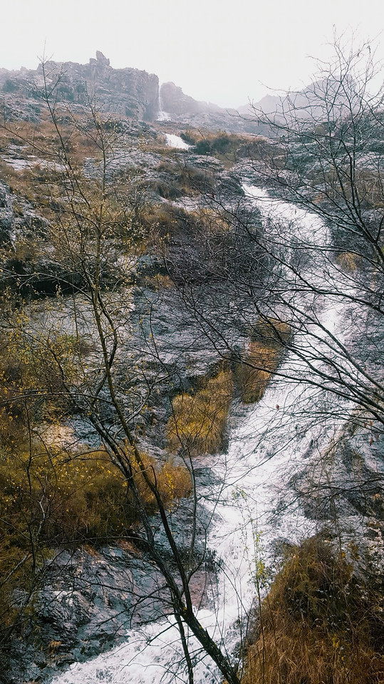 landscape-nature-tree-fall-wood 图片素材