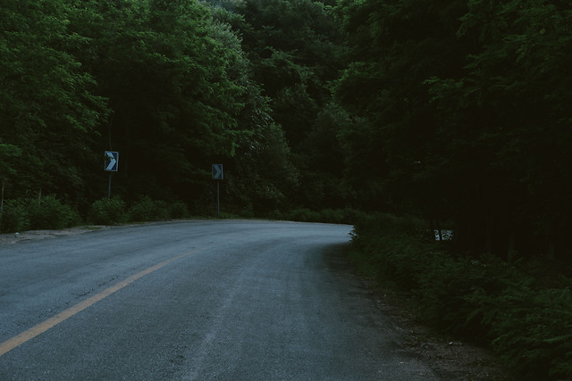 road-landscape-no-person-tree-nature 图片素材