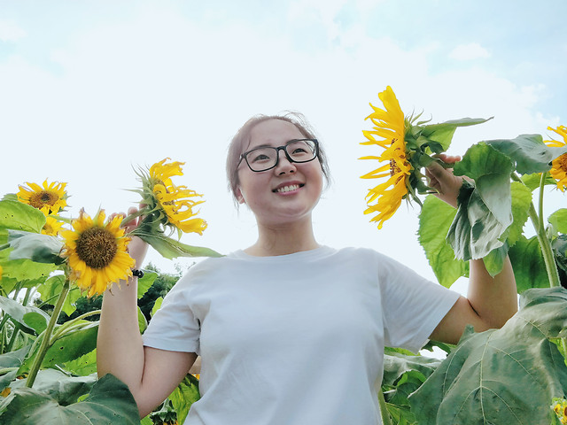 nature-summer-flower-sunflower-outdoors 图片素材