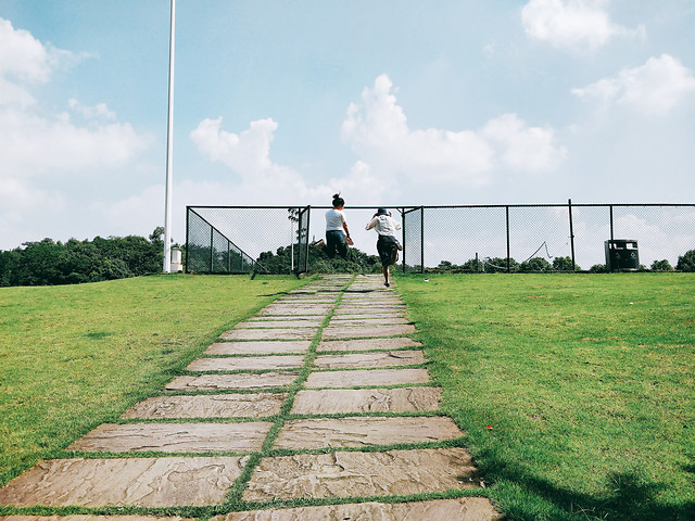 grass-sky-no-person-field-landscape picture material