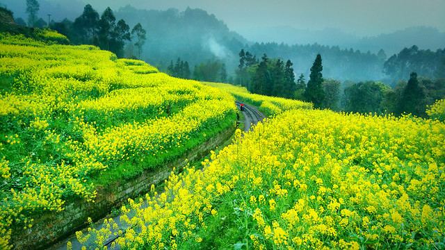landscape-nature-no-person-outdoors-rural 图片素材