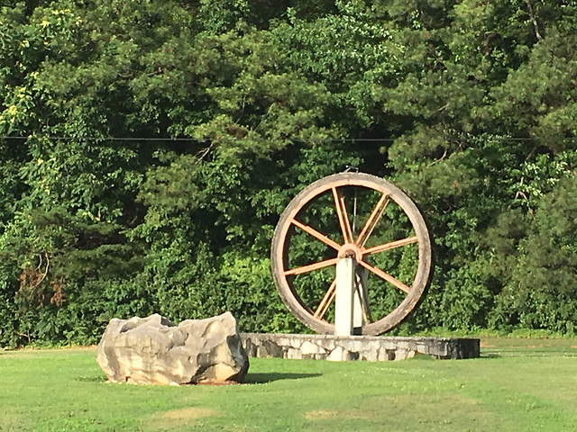 no-person-grass-outdoors-wood-summer picture material