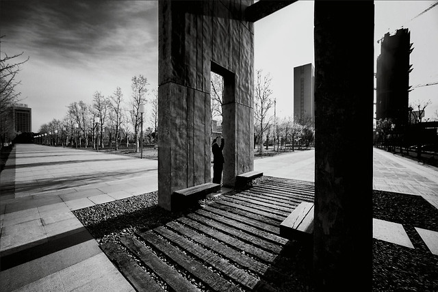 monochrome-street-black-and-white-tree-shadow picture material