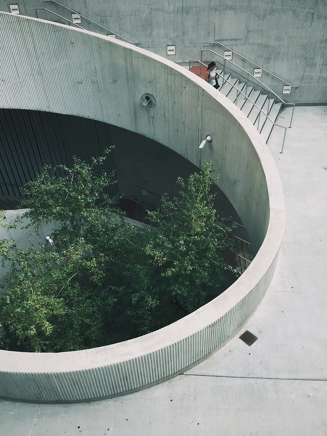 water-architecture-no-person-bridge-landscape picture material