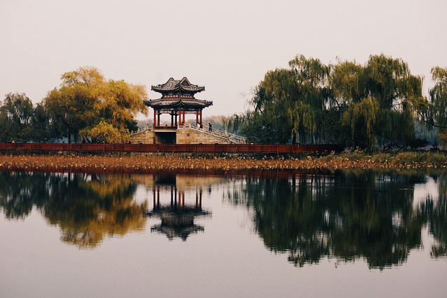 lake-water-reflection-no-person-tree picture material
