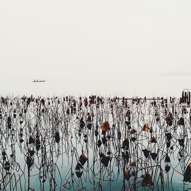 water-winter-snow-nature-landscape picture material