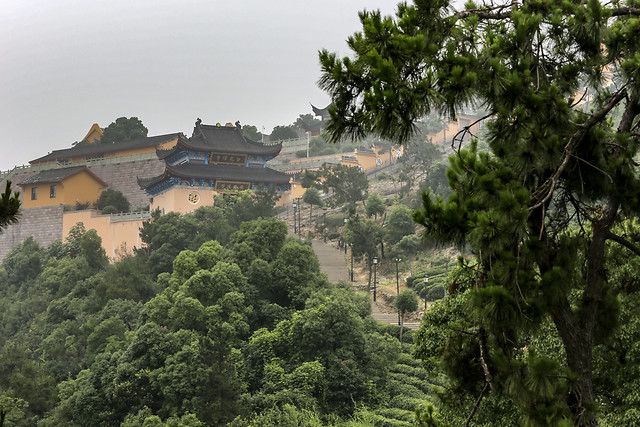 tree-sky-hill-landscape-mountain 图片素材