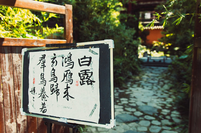 no-person-wood-outdoors-green-travel 图片素材