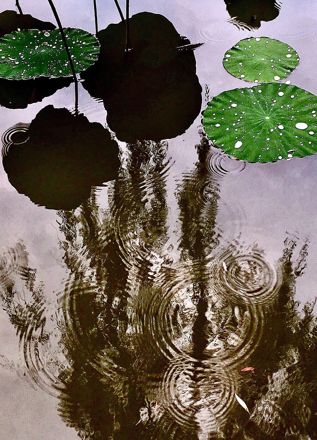 no-person-painting-leaf-desktop-art picture material