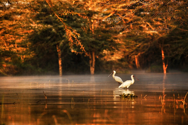 water-lake-sunset-reflection-dawn 图片素材