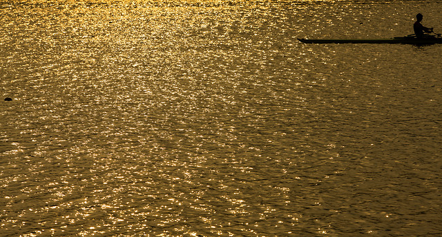 金色水面 图片素材