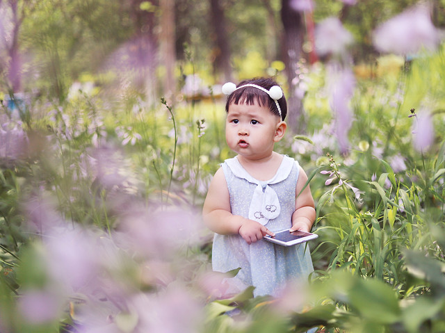 child-nature-little-summer-grass 图片素材