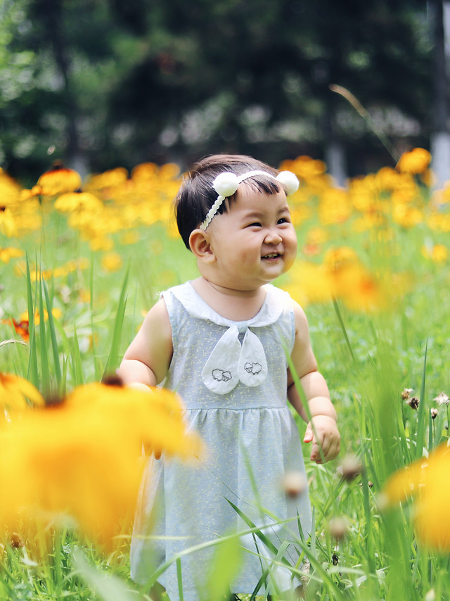 child-grass-nature-summer-little 图片素材