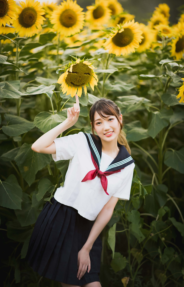 flower-nature-summer-outdoors-yellow 图片素材