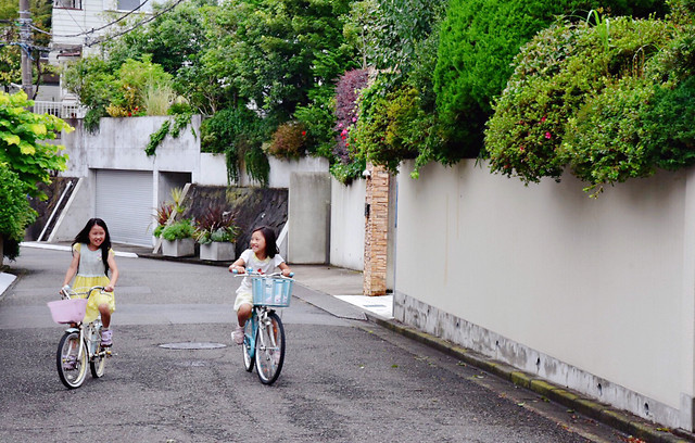 land-vehicle-street-road-bike-wheel 图片素材
