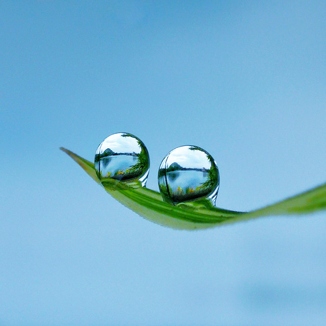 drop-rain-dew-droplet-environment 图片素材