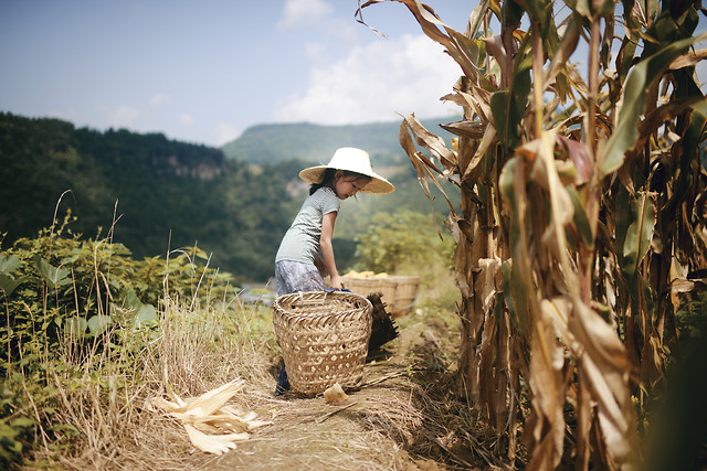 nature-outdoors-food-travel-people 图片素材