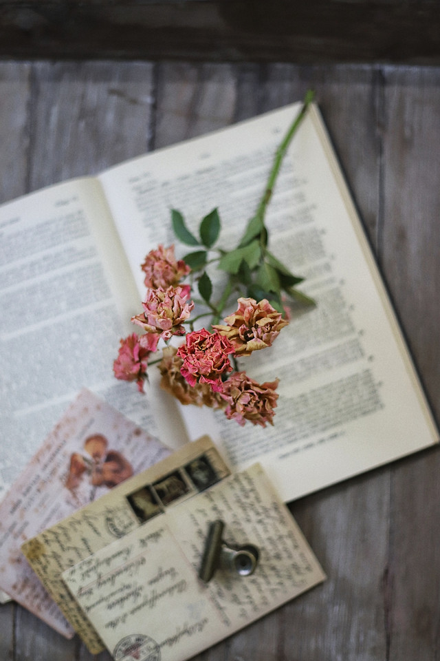 八月 picture material