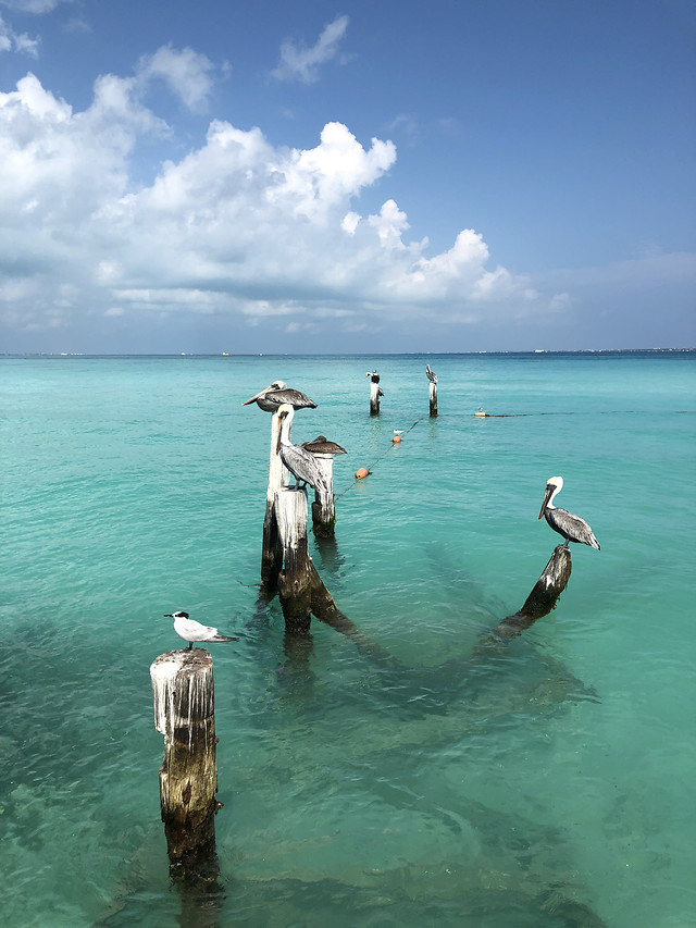 water-sea-summer-relaxation-travel 图片素材