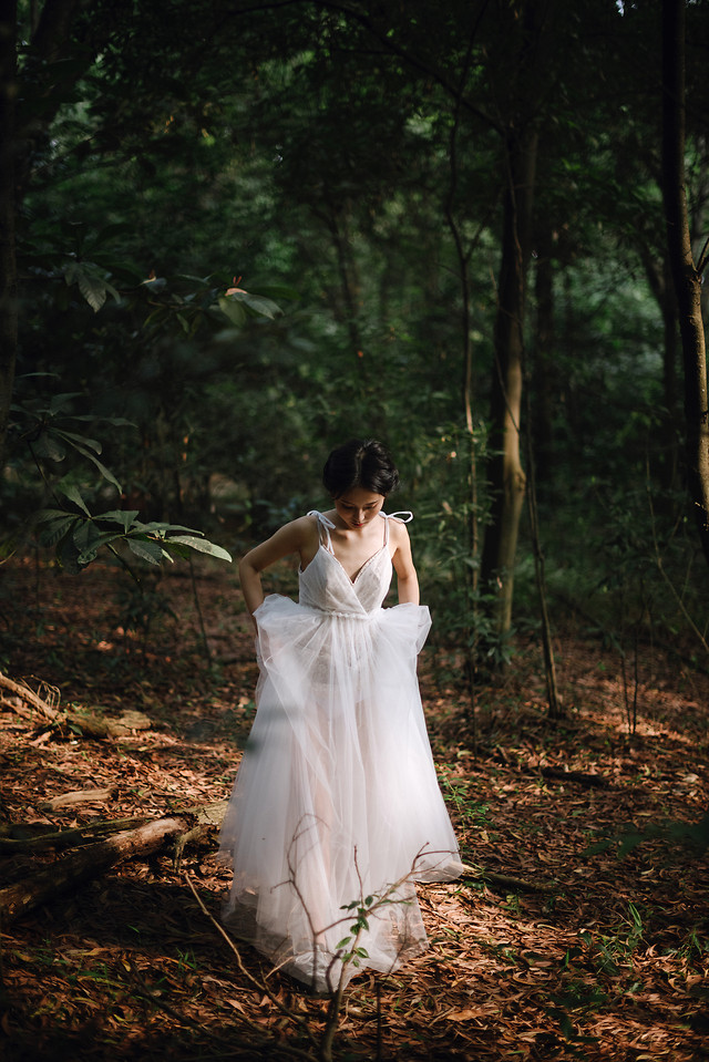 people-one-woman-photograph-tree picture material