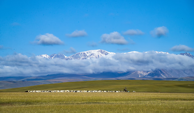 landscape-no-person-sky-grassland-nature 图片素材
