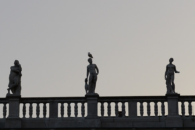 谁在我头上 图片素材