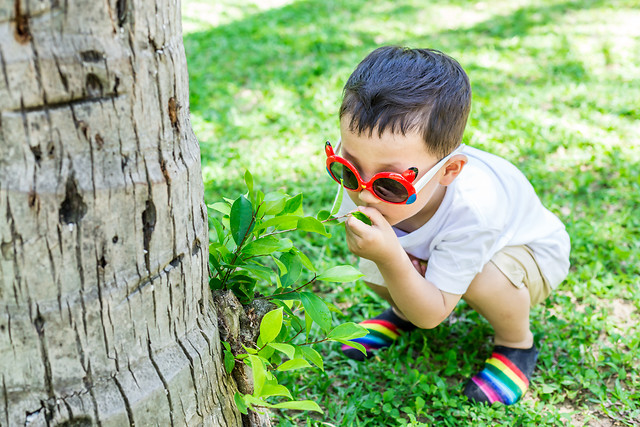 child-nature-summer-little-grass picture material