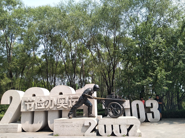 tree-park-wood-outdoors-nature 图片素材