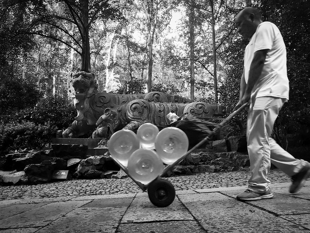 people-adult-man-white-black 图片素材