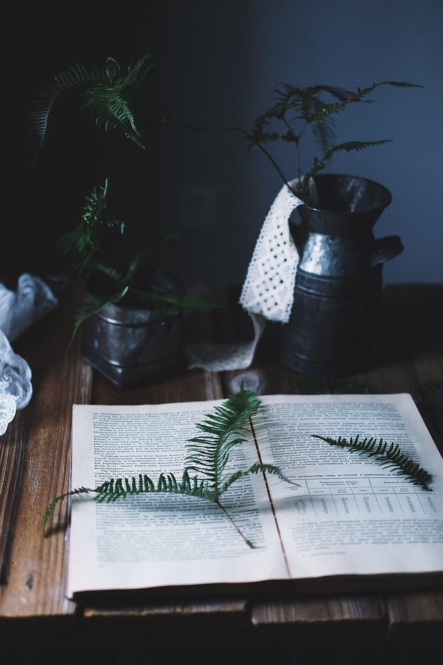 no-person-still-life-leaf-wood-table picture material