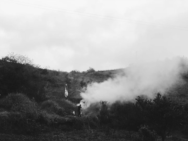 fog-landscape-smoke-mist-people picture material