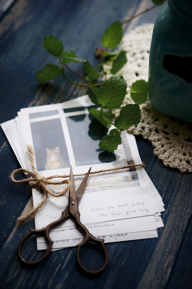 leaf-nature-no-person-wood-food 图片素材