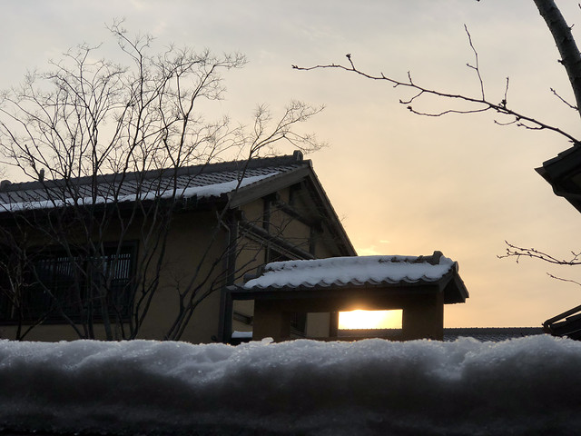 snow-winter-cold-weather-storm 图片素材