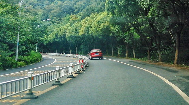 林荫之道 图片素材