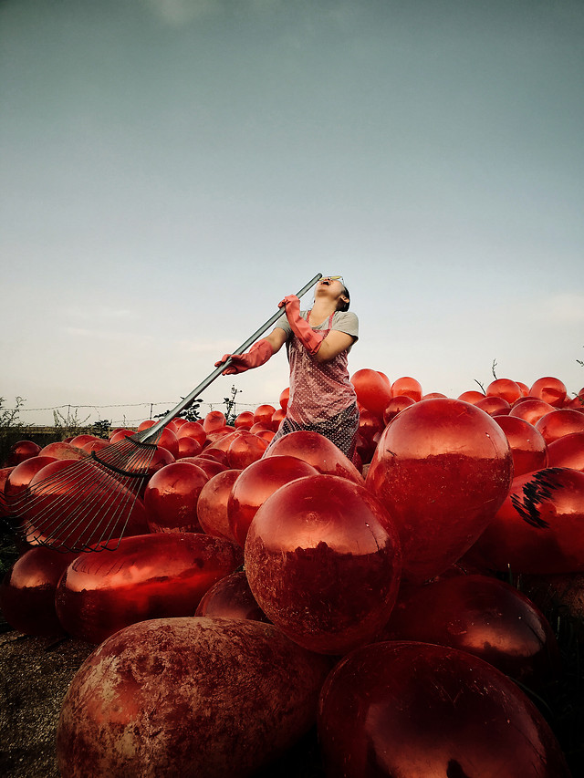 sky-rhapsody-food-people-fruit 图片素材