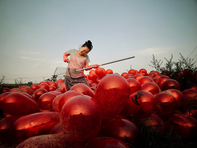 fruit-sky-rhapsody-food-red 图片素材