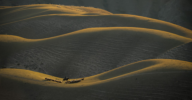 kala-jun-human-grassland 图片素材