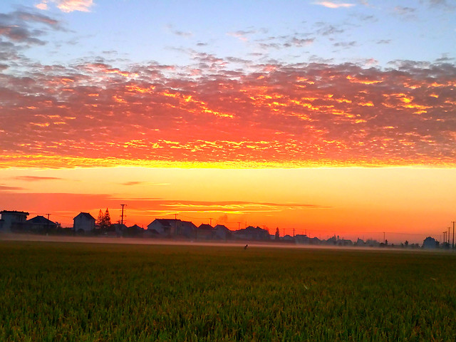 field-sky-dawn-sunset-evening picture material