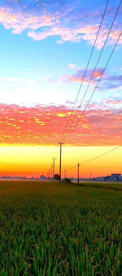 sky-field-energy-grass-dawn 图片素材