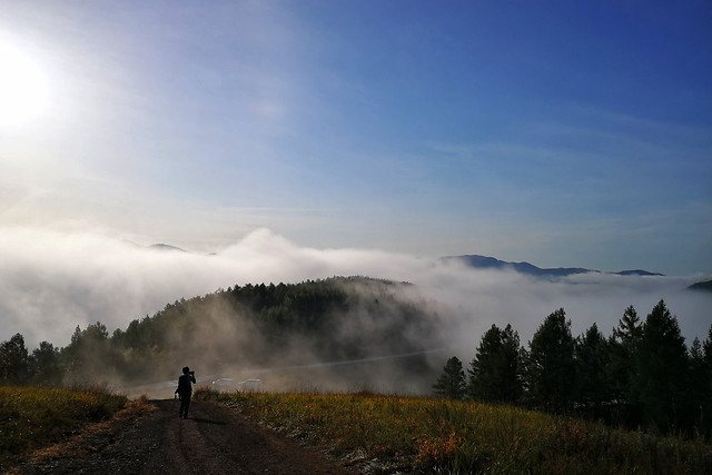 sky-tree-nature-mist-mountain picture material